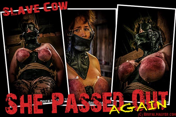 Slave Cow - Passes Out Again