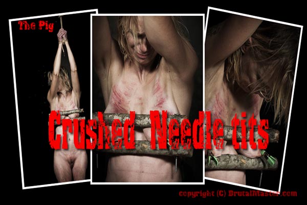 The Pig - Crushed Needle Tits
