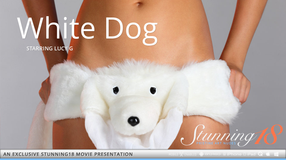 White Dog