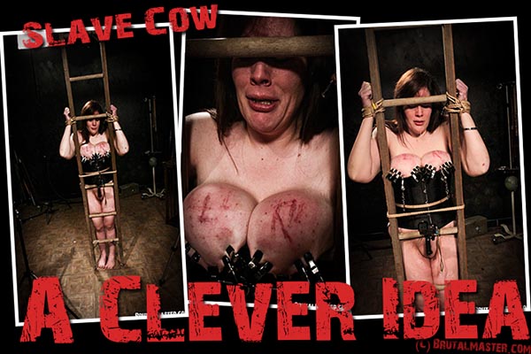 Slave Cow - A Clever Idea