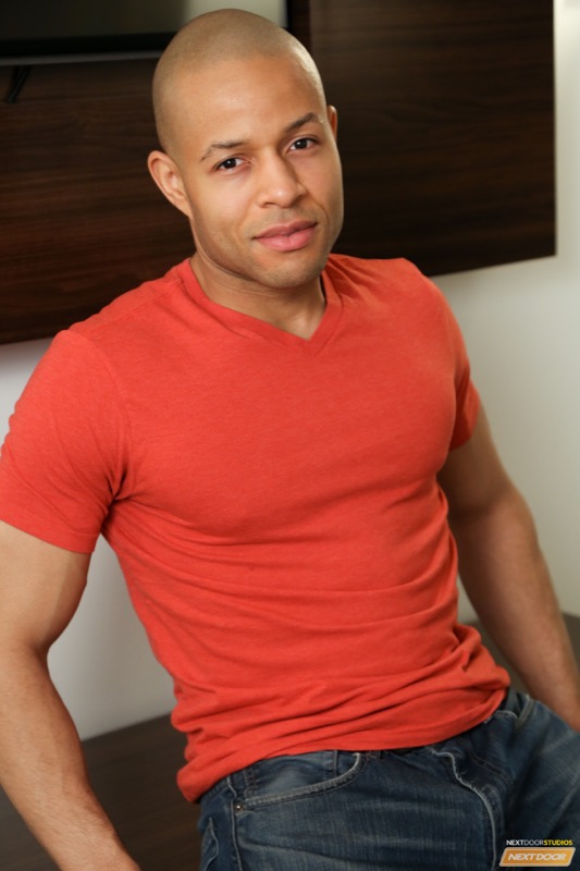 Photo HD Rex Cobra - 2