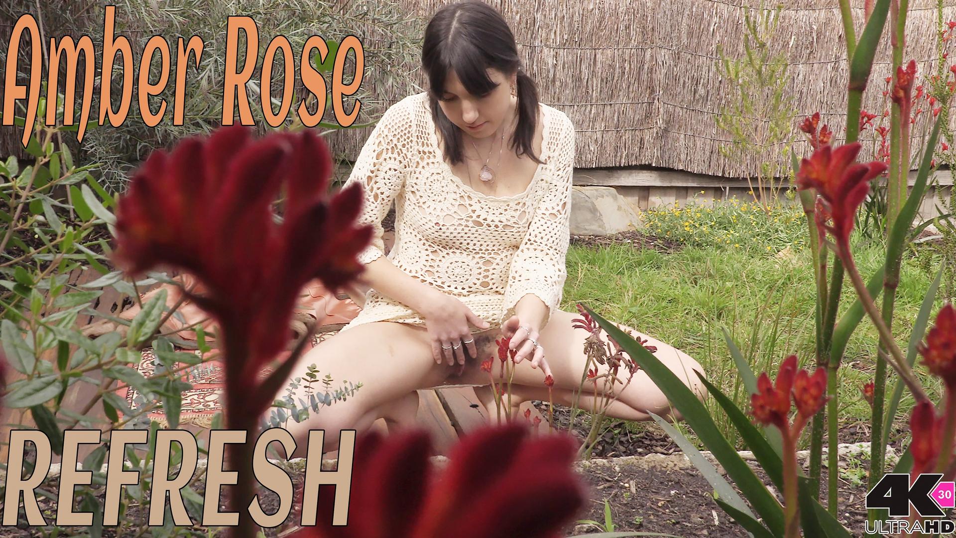 Amber Rose - Refresh