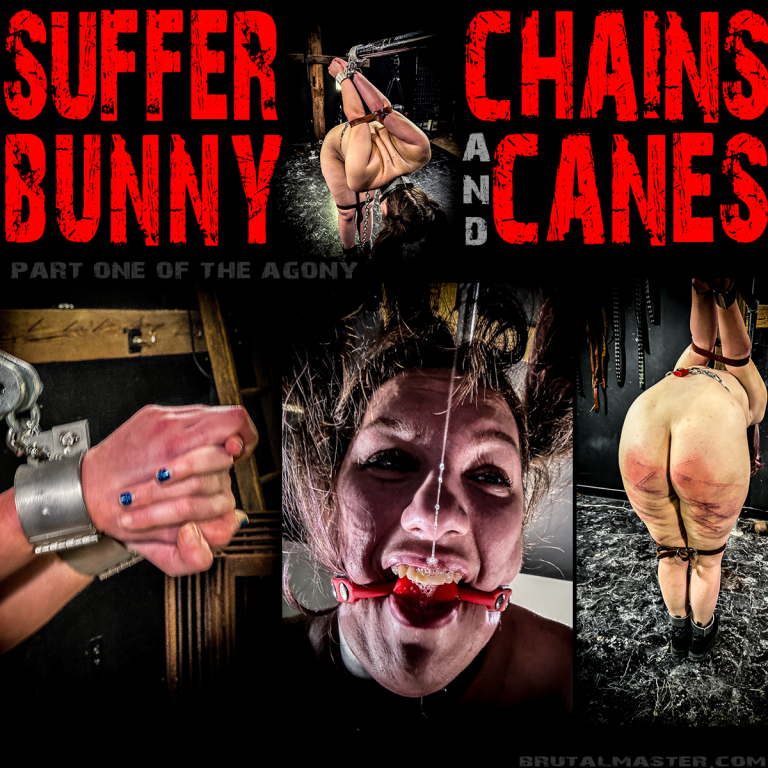 Suffer Bunny | Chains ‘N Canes pt1
