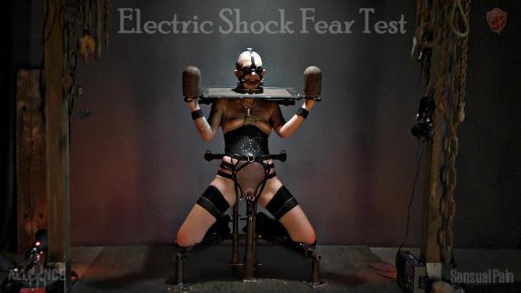 Electric Shock Fear Test
