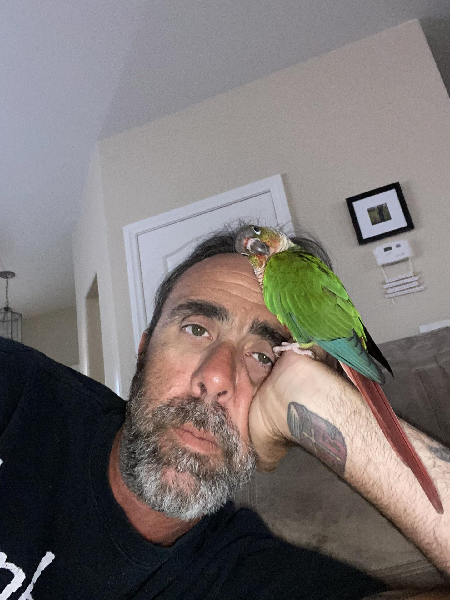 Photo HD Ethan Cage - 1