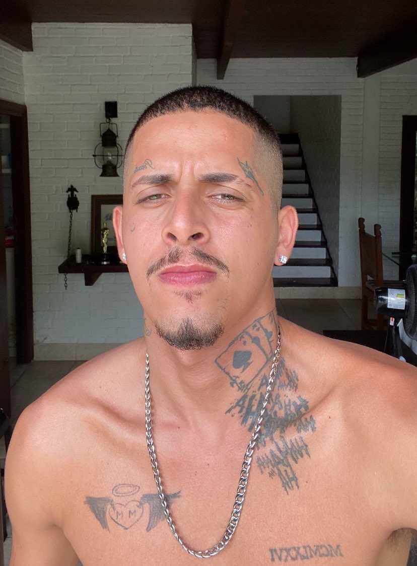 Photo HD Apolo Raposa - 1