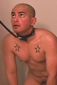 Mario Stone Evil Angel