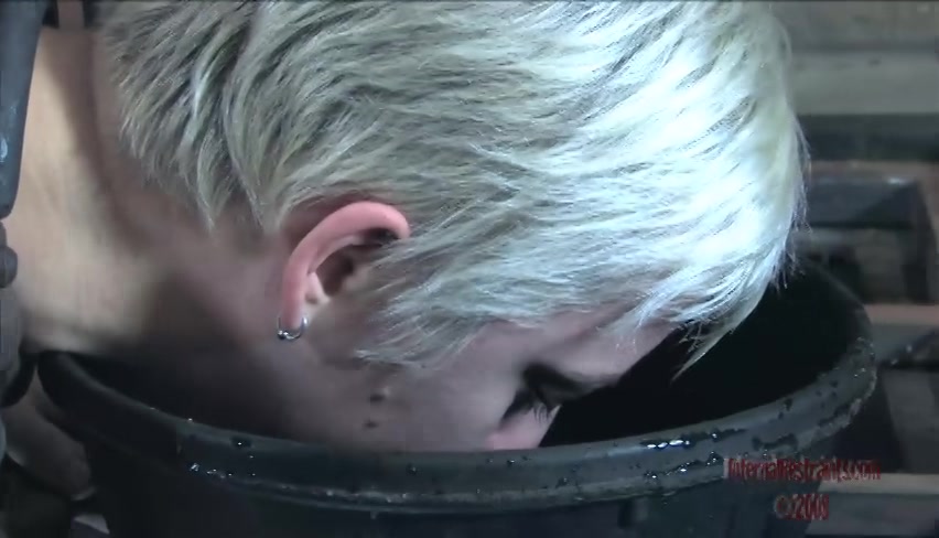 Pigdog Problems Part One