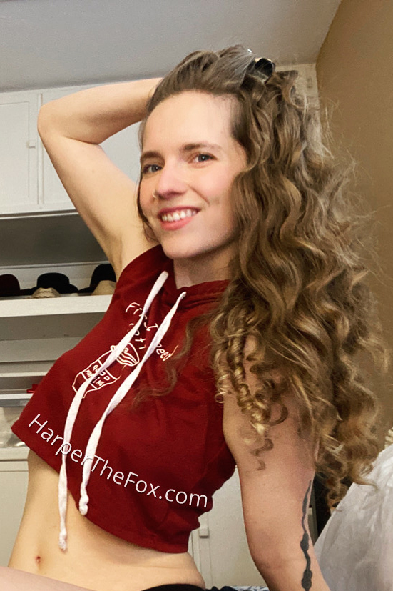 Photo HD Harper the Fox - 5