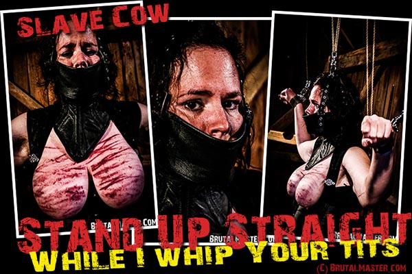 Slave Cow - Stand Up Straight While Whip Your Tits