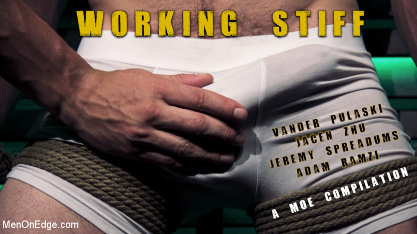 Working Stiff! A kinky MOE Compilation