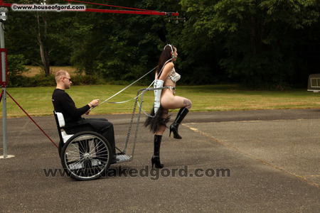 Training the Trainer