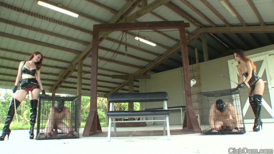 Conquered by Cane and Cock