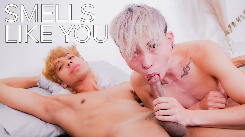 Smells Like You