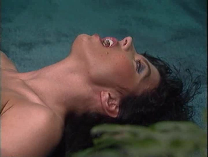 Sex Trek IV: The Next Orgasm - Scene 2