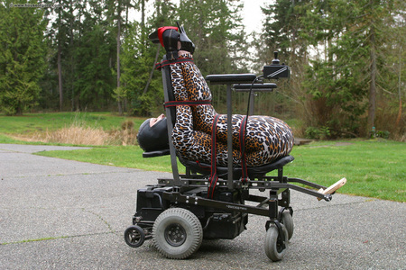 Female Wheelchair