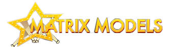 Matrix Models