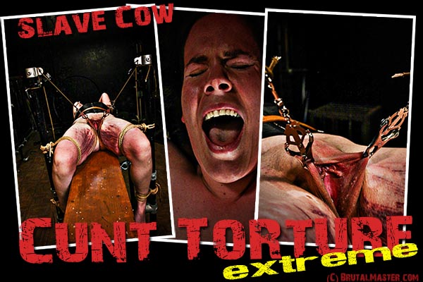 Slave Cow - Cunt Torture Extreme