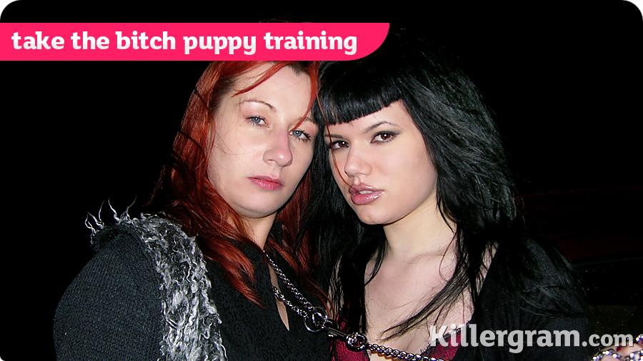 Take The Bitch Puppy Training