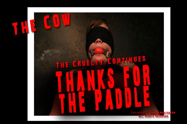 Cow - Thanks Paddle 2