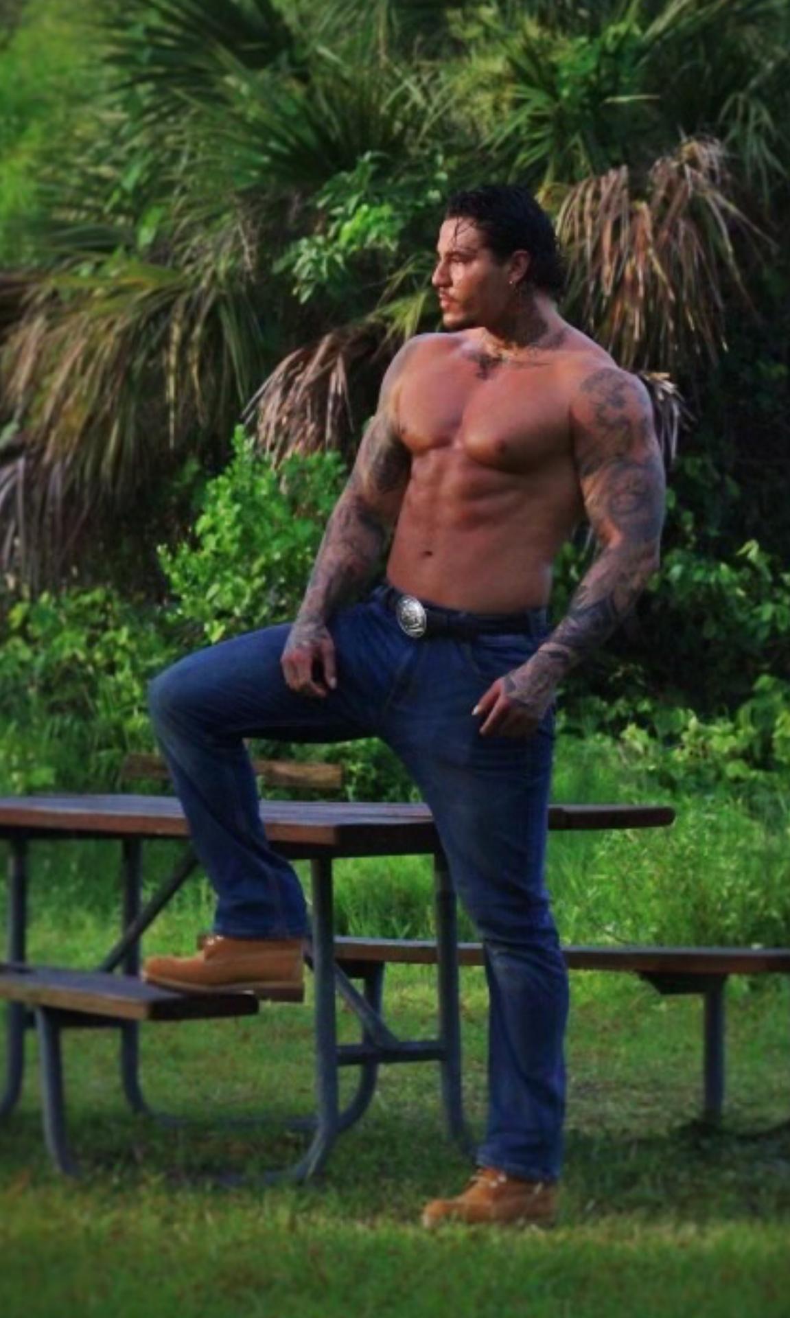 Photo HD Gemini Jay - 3