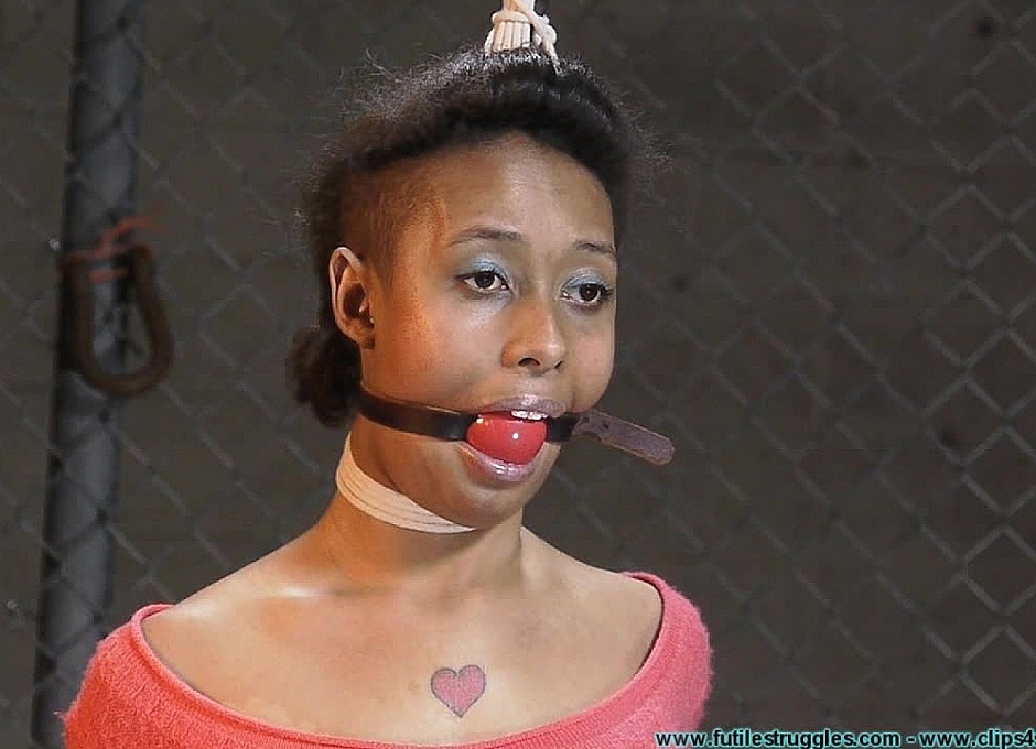 Dani is Tightly Bound and Abused - Part 1