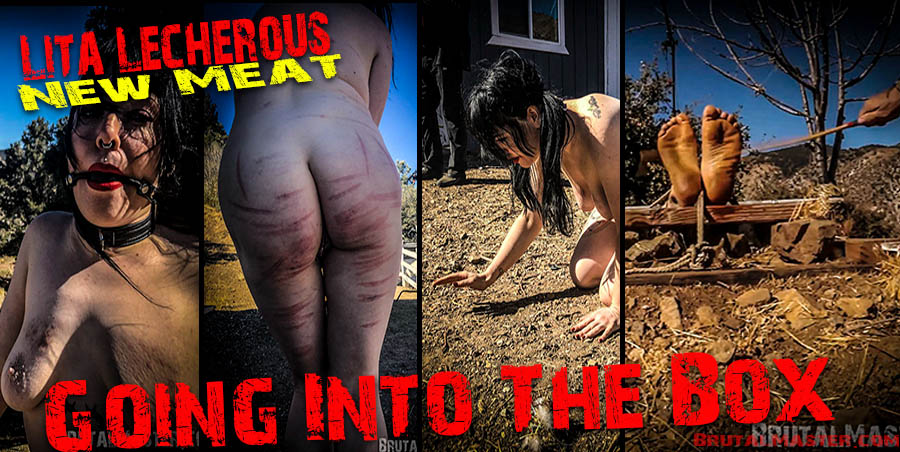 NEW MEAT Lita Lecherous - Going Into The Box
