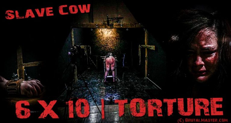 Slave Cow - 6X10 Torture