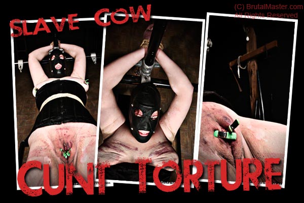 Slave Cow - Cunt Torture