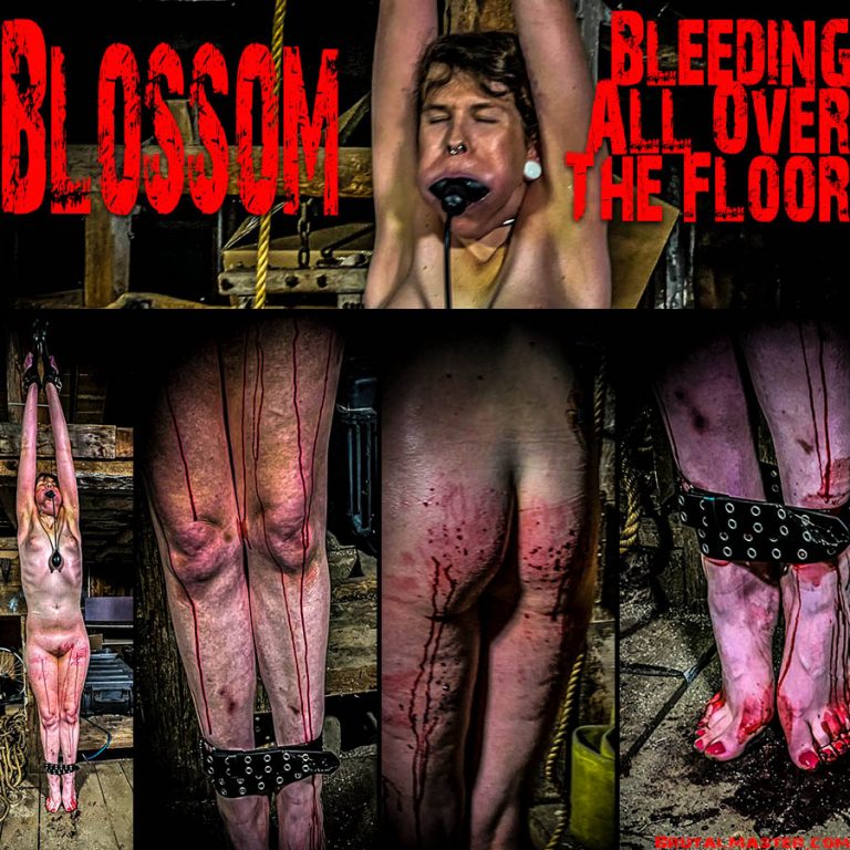 Blossom - Bleeding All Over The Floor