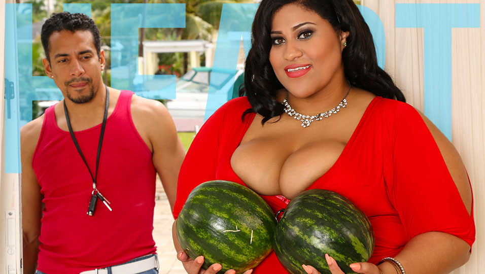 Shopping for Melons