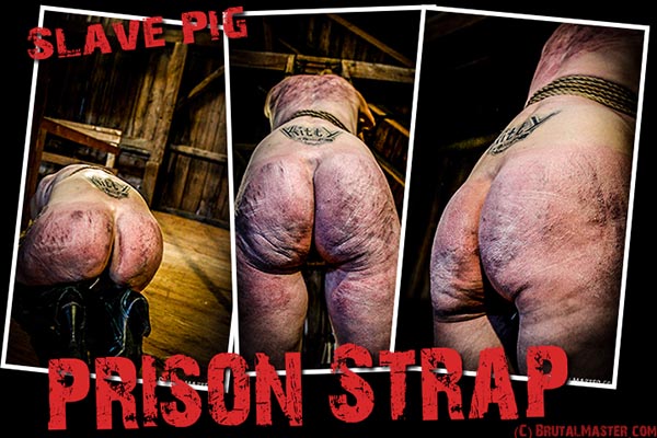 Slave Pig - Prison Strap