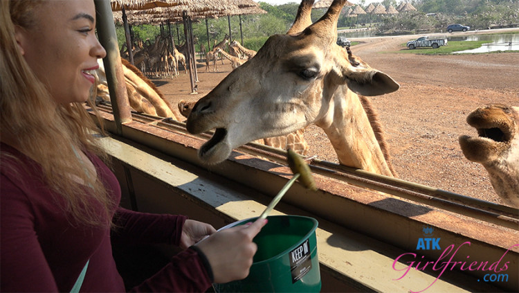 Jamie Gets to Meet Giraffes Face to Face to Feed Them