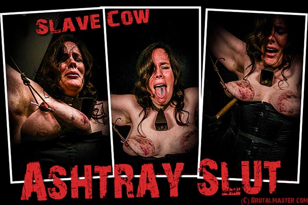 Slave Cow - AshTray Slut