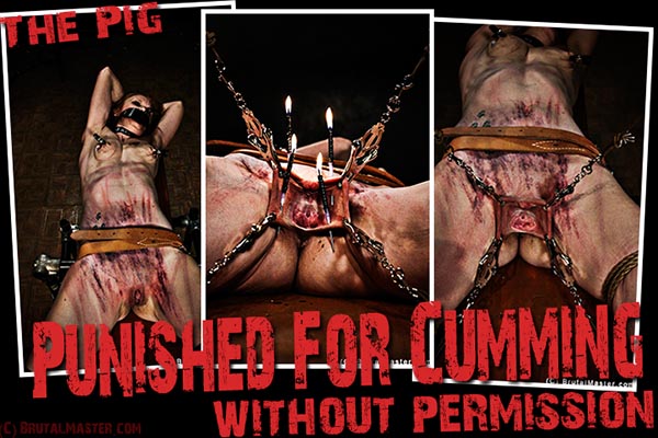 The Pig - Punished For Cumming Without Permission
