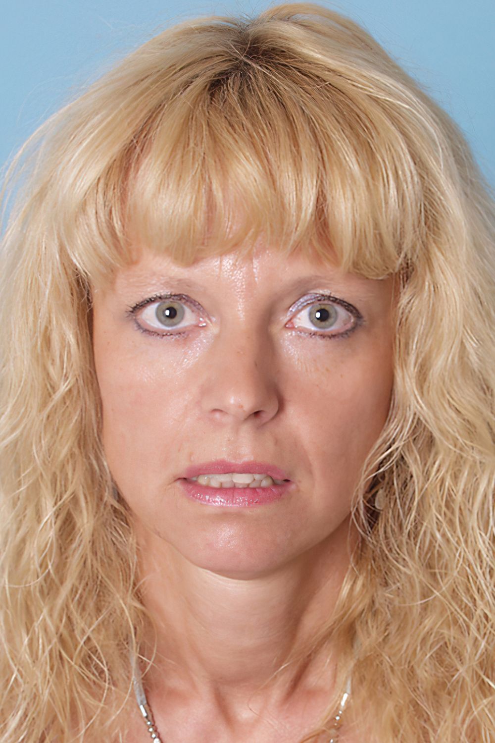 Merilyn Doghouse Digital