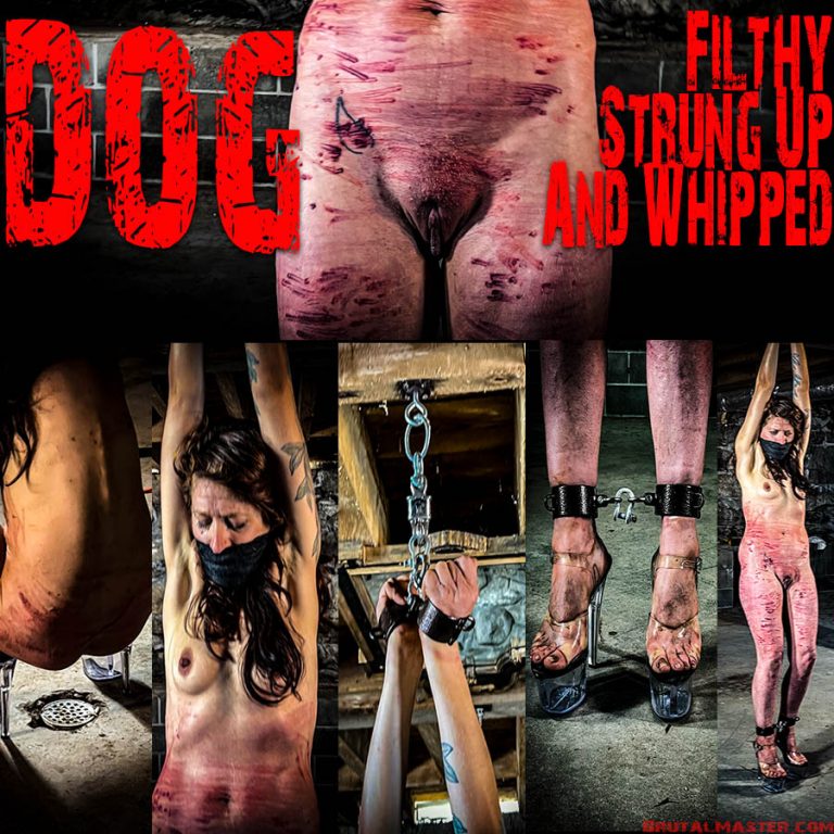 Dog - Filthy, Strung up, and Whipped