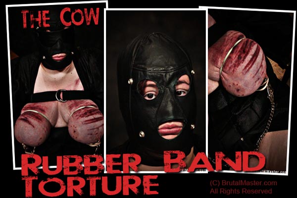 The Cow - Rubber Band Torture