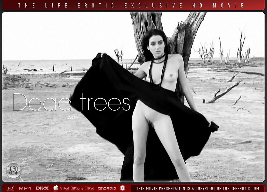 Dead Trees