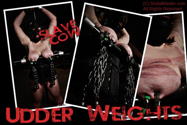 Slave Cow - Udder Weights