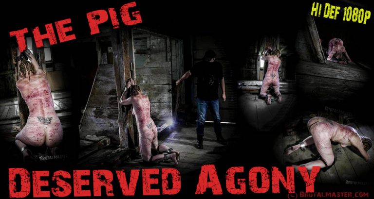 The Pig - Deserved Agony