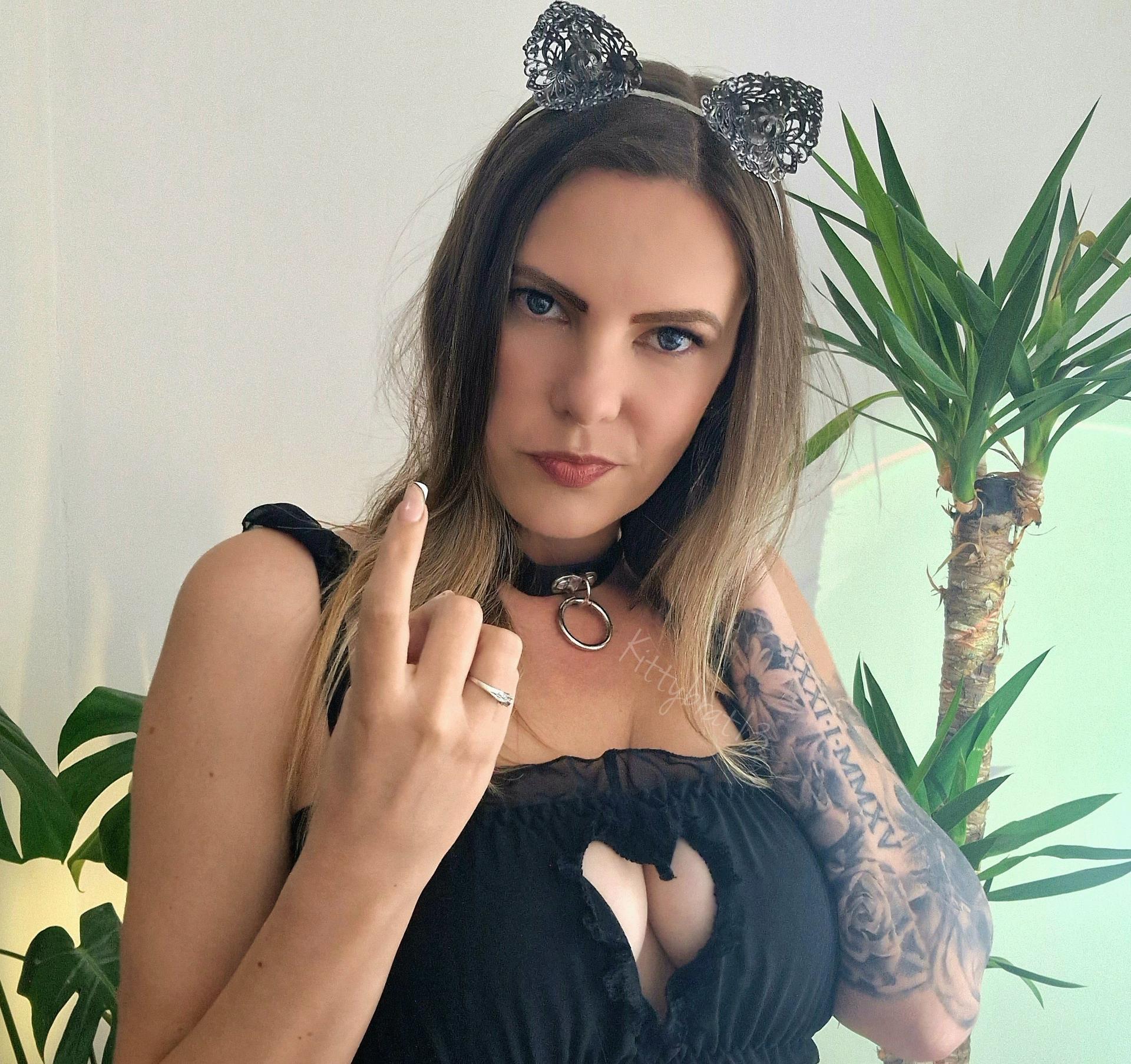 Photo HD Kitty Brat - 6