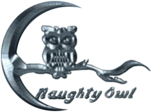 Naughty Owl Studios