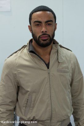 Photo HD Stallion Strong - 5