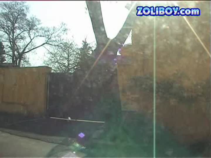 May in double penetration and pee scenes