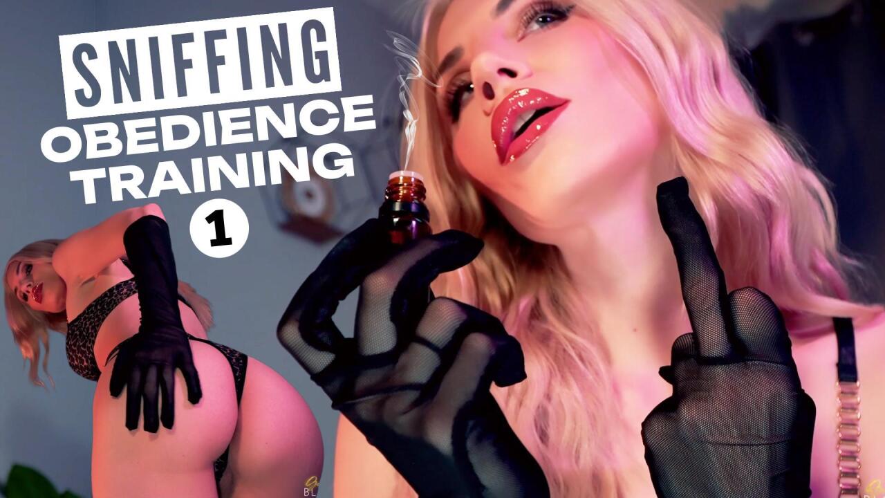 Sniffing Obedience Training 1