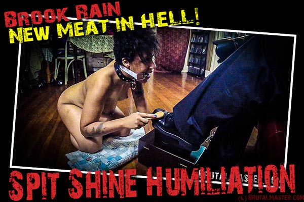 NEW MEAT Brook Rain - Spit, Shine, Humiliation