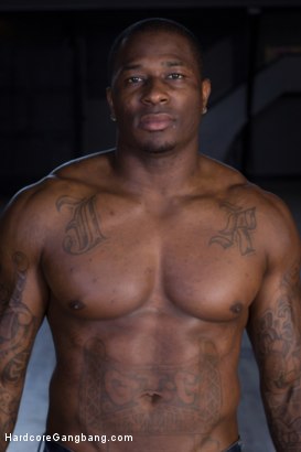 Photo HD Rob Piper - 4