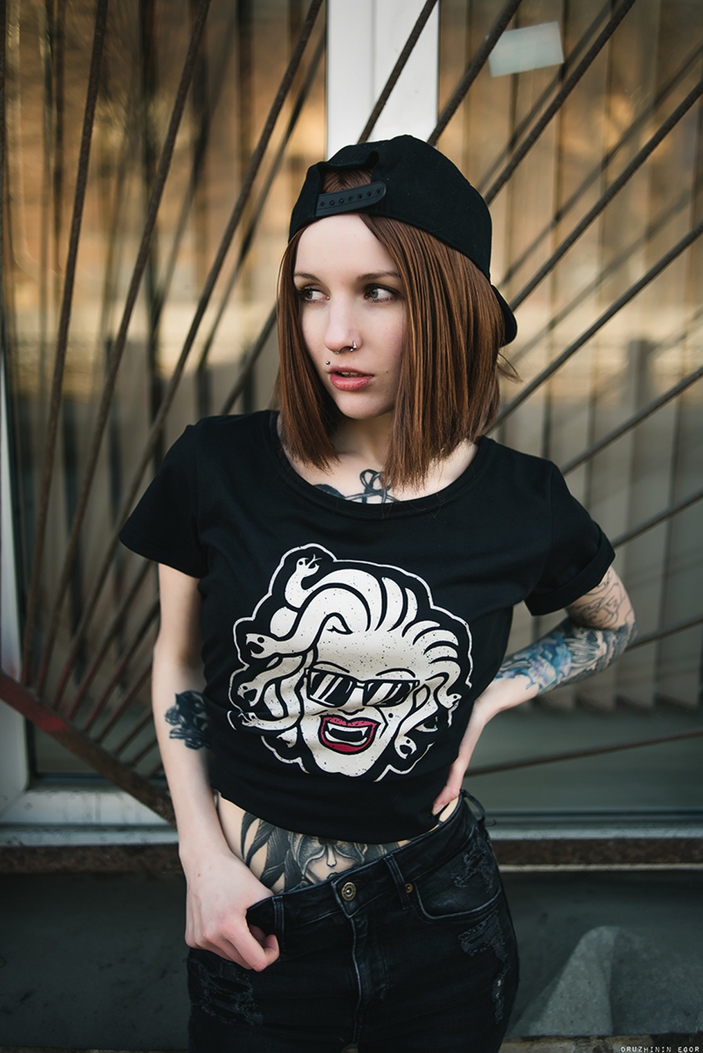 Photo HD Real Red Fox - 7