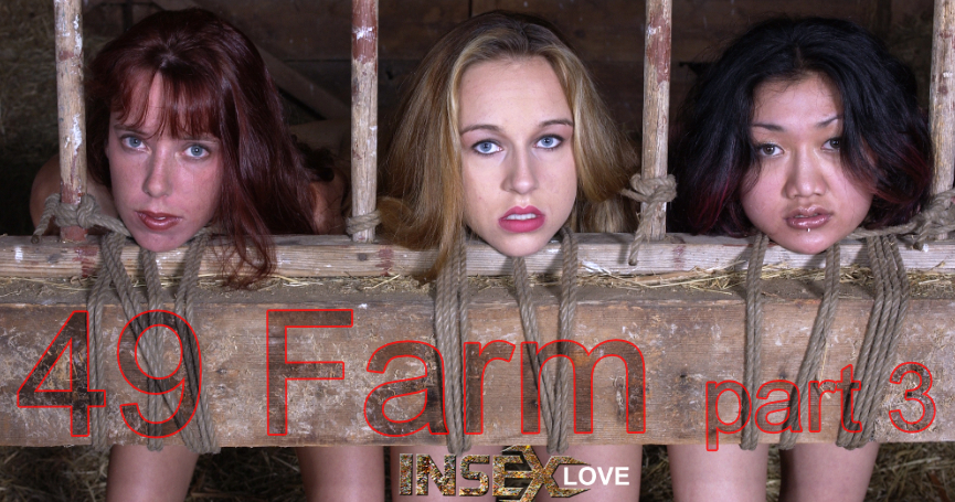49 Farm 3